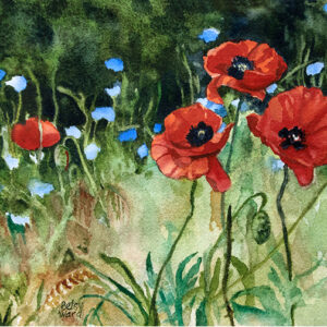 Four Red Poppies