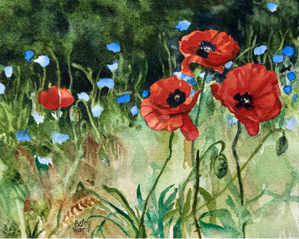 Four Red Poppies