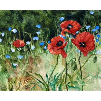 Four Red Poppies
