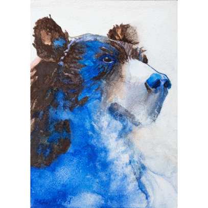 Blue bear thinking