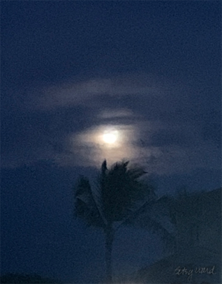 Dark Sunset with Palm and Moon
