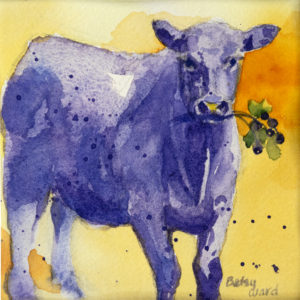 Huckleberry Cow