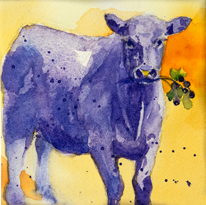 Purple cow with huckleberries