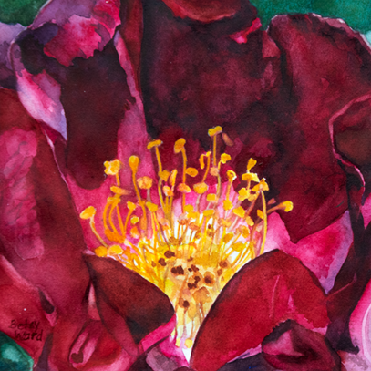 Red Rose
