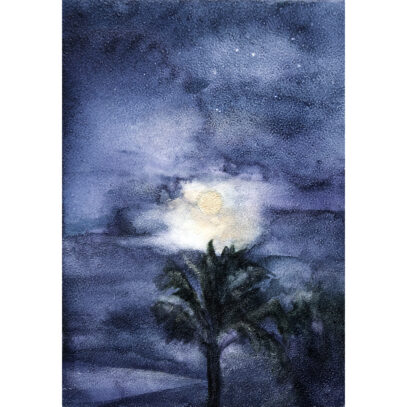 Moonlight in the palms