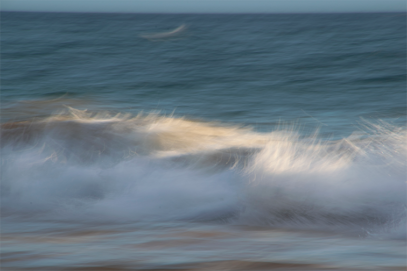 Wave Feathers