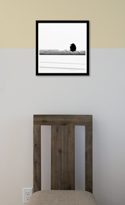 Crow framed on wall