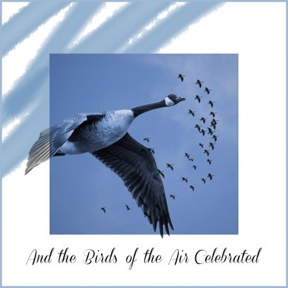 Birds of the Air Holiday Card