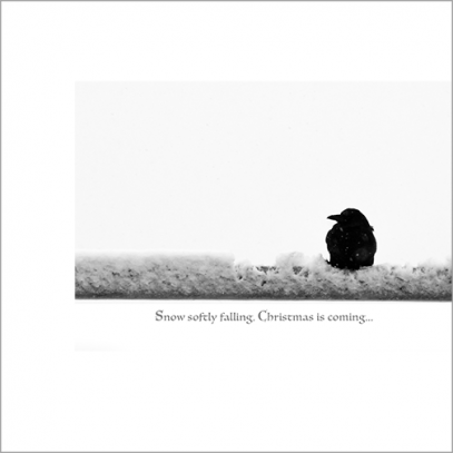 Crow in the snow, offset