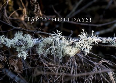 Lichen Happy Holidays Card