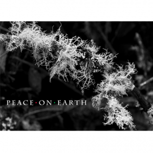 Lichen Peace
