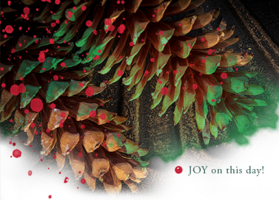Pine Cones Holiday Card
