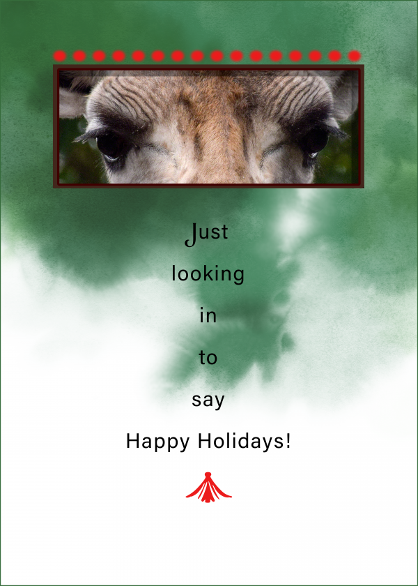 Giraffe Holiday Card