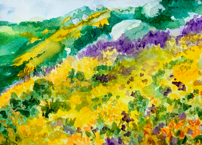 Flowers on a hill