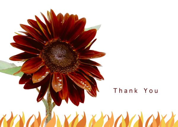 Sunflower Thank you