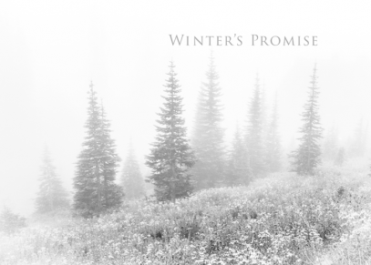 Winter's Promise Holiday Card