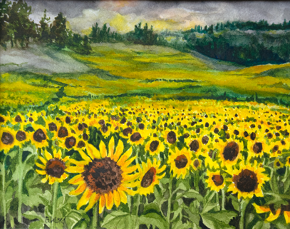 Sunflowers Eastern Washington