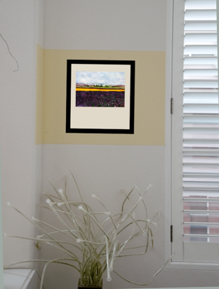 Purple Tulip Fields in Skagit Valley on wall