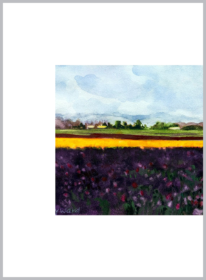 Purple Tulip Fields in Skagit Valley 5x7 layout 2
