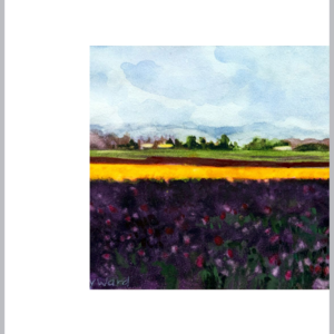 Purple Tulip Fields in Skagit Valley 5x7 layout 2