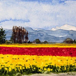 Yellow and Red Tulip Fields for the Tulip Festival, 7x5
