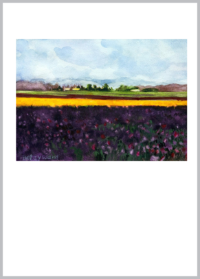 Purple Tulip Fields in Skagit Valley, 5x7 layout 1