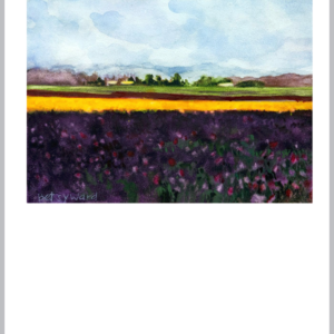 Purple Tulip Fields in Skagit Valley, 5x7 layout 1