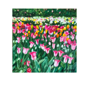 Multicolor Tulips Centered in Card