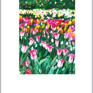 Multicolor Tulips top of page layout