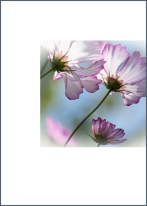 Cosmos right side layout