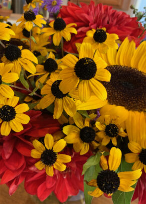 Yellow and Red Flowers