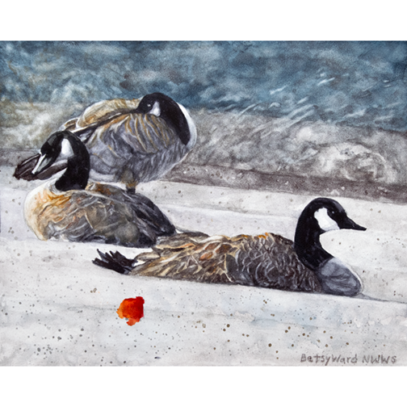 Canadian Geese: On Notice